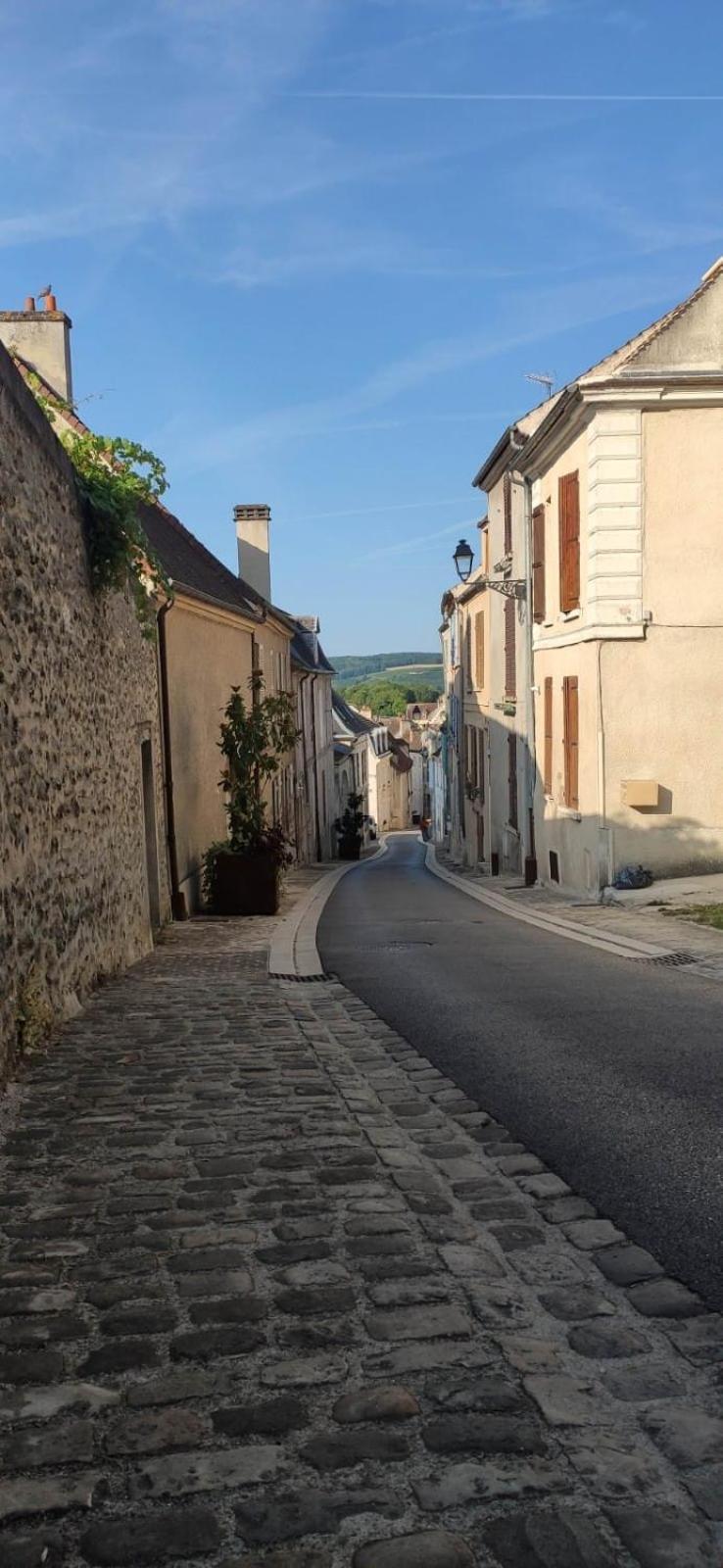 Esope By Kleidos-Ravissant T2 En Plein Centre De Château-Thierry المظهر الخارجي الصورة
